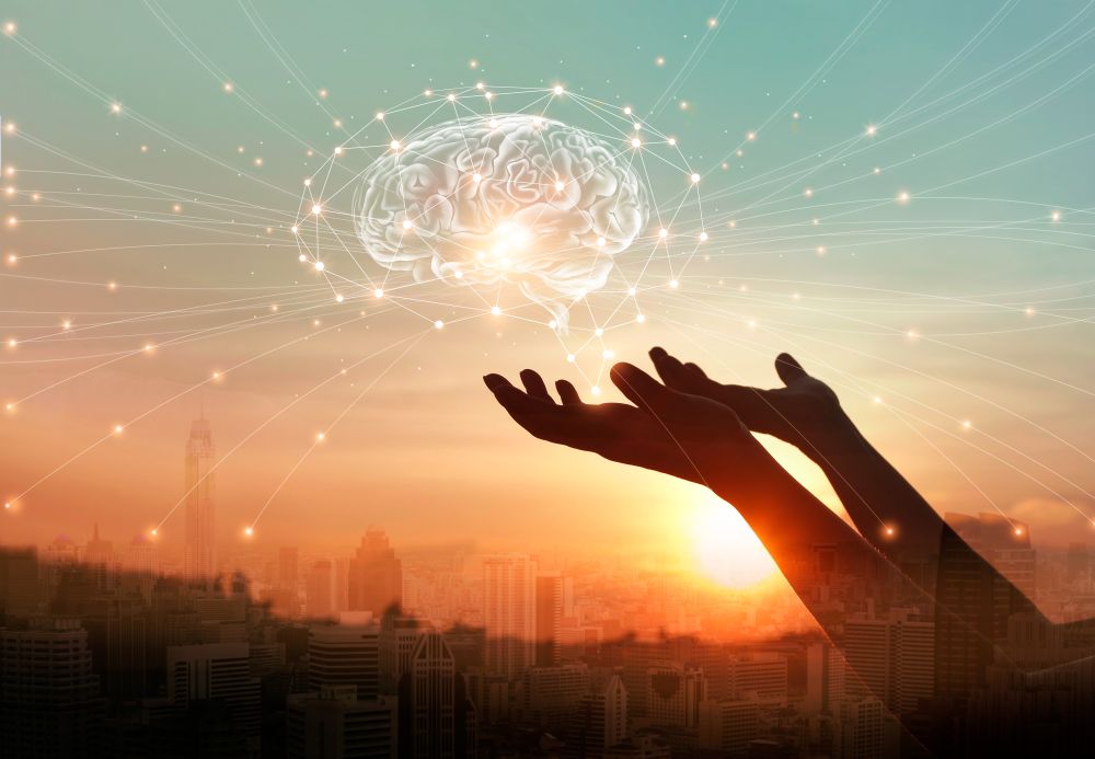 Formation en analyse neurocognitive Formation en analyse neurocognitive