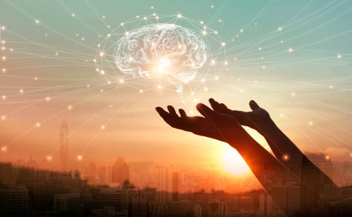 Formation en analyse neurocognitive